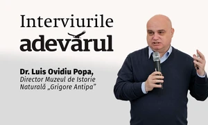 La Antipa e Cool mp4 thumbnail png