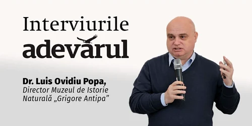 La Antipa e Cool mp4 thumbnail png
