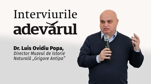 La Antipa e Cool mp4 thumbnail png