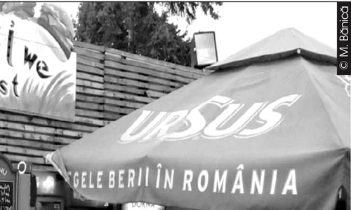 Cu ochii n 3,14 jpeg