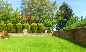 spinheike meadow 115676 jpg