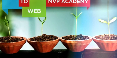 how to web mvp