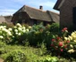 Giethoorn - satul olandez cu canale supranumit Veneţia Nordului Foto Sînziana Ionescu