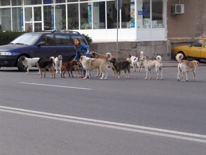 Foto Arhivă