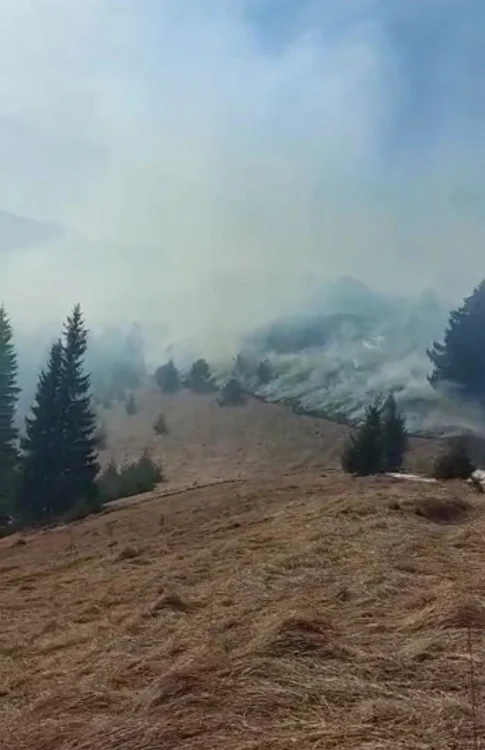 Peste o sută de persoane au participat la intervenţie FOTO ISU Neamţ
