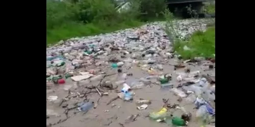 deseuri pe parau