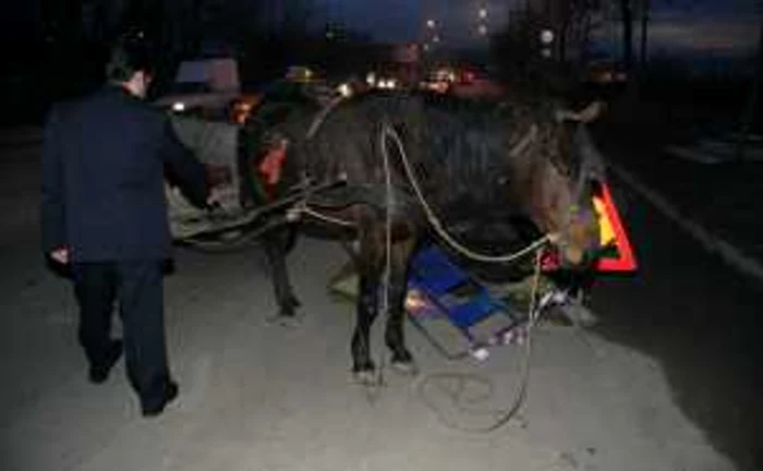 Căruţa a fost grav avariată