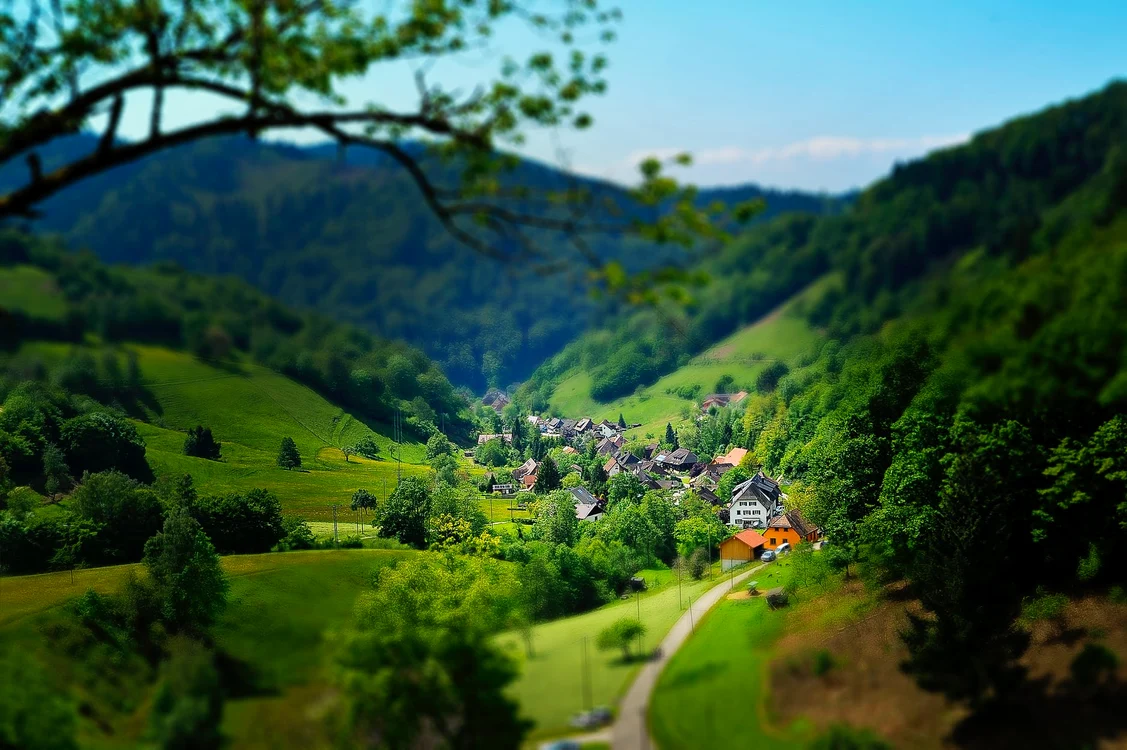 
    Sursă foto: pexels.com   