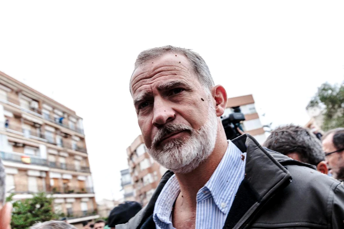 Regele Felipe al VI-lea al Spaniei Foto: Profimedia 