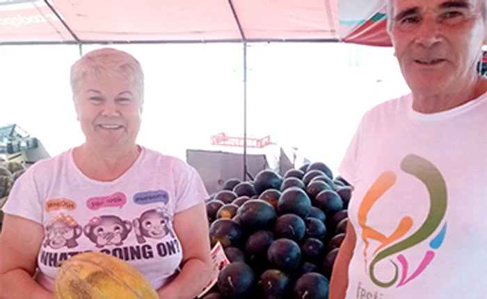 
    Soiul Sorento, printre cele mai căutate    