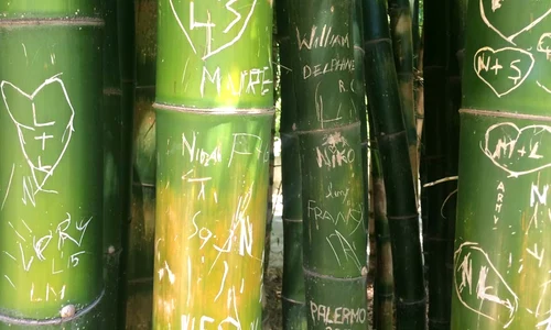 Palermo, la pas  Note de călătorie jpeg