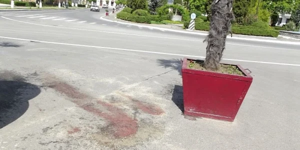 palmier accident nasaud
