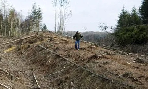 A fost descoperit un drum roman vechi de 1 900 de ani jpeg