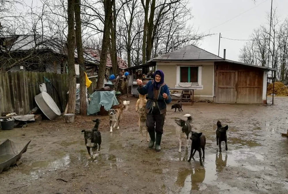 Tanti Ioana are în grijă 30 de câini FOTO: Ajutați-l pe Lăbuș