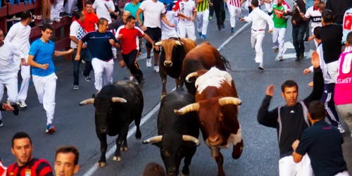 cursa tauri spania san sebastian de los reyes 29 august 2013 foto Shutterstock