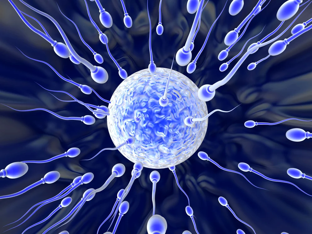 sperma jpeg