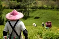 farmer 8294716 1280 jpg