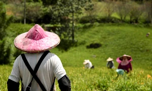 farmer 8294716 1280 jpg