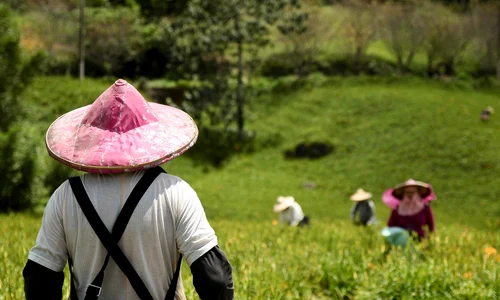 farmer 8294716 1280 jpg