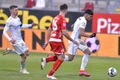 coman tanase fcsb jpeg
