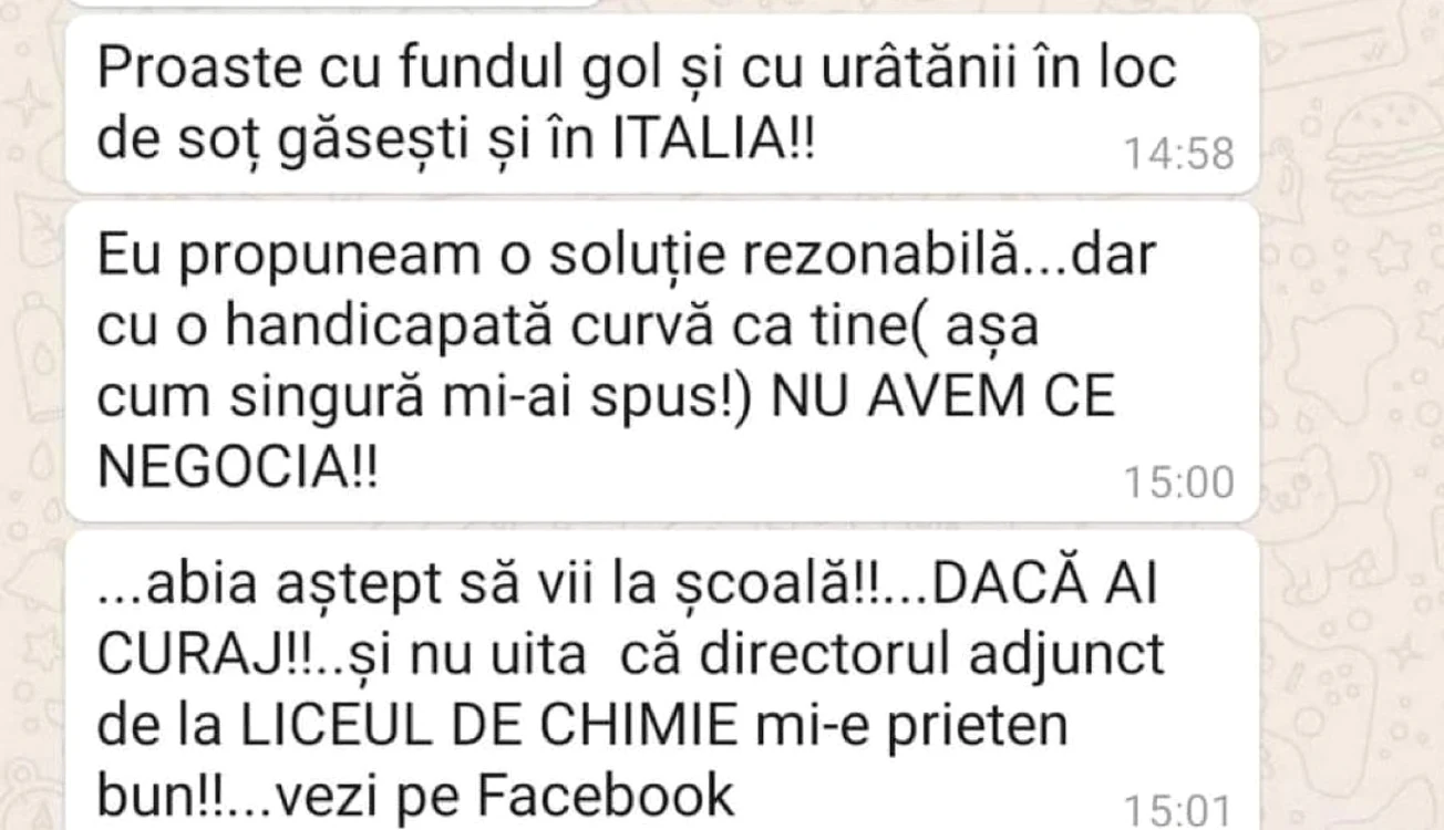Mostră de mesaj trimis de profesor elevei de la seral FOTO Rise Project