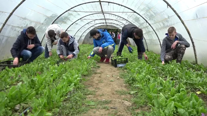 
    Ministerul Agriculturii va prelua 150 de licee tehnologice, cu clase de agricultură, chiar din acest anFOTO: adevarul.ro  