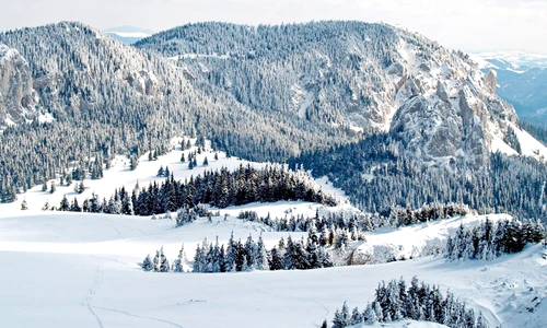 1 50838 original jpg jpeg