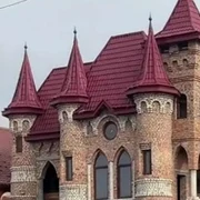 casa Nyzhnia Apșa 01 captura TikTok/@polinashtern