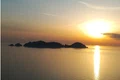 palmarola isola X jpg