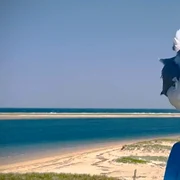 Pescarus Twitter jpg