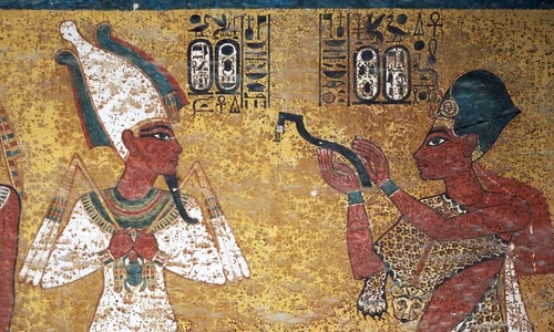 davidson nefertiti 3 1037 jpeg