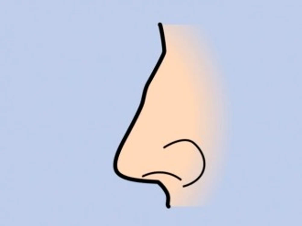 7873035417596e088fcb2a88ecbfee83 jpg jpeg