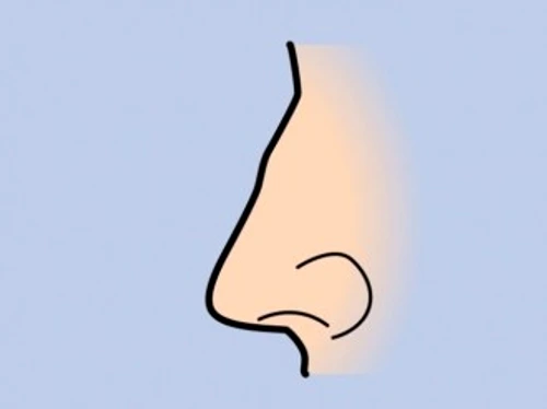 7873035417596e088fcb2a88ecbfee83 jpg jpeg