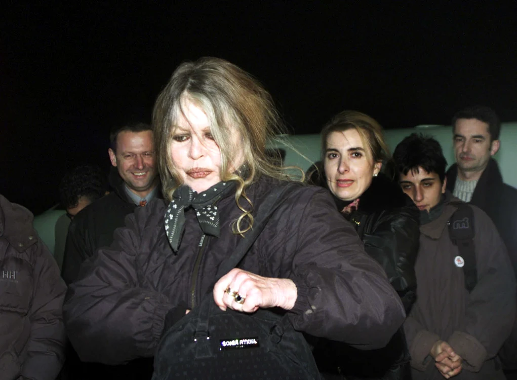 1 brigitte gettyimages 825863 jpg jpeg