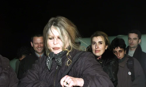 1 brigitte gettyimages 825863 jpg jpeg