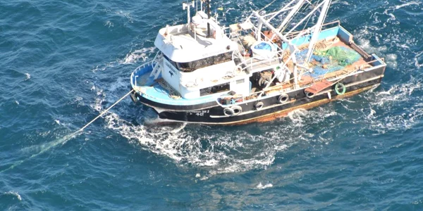 Pescadorul Cormoran 2