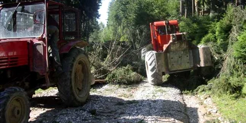 Târgovişte: TRAGEDIE: Mamă şi fiică moarte în urma unei viituri