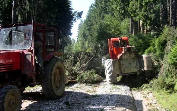 Târgovişte: TRAGEDIE: Mamă şi fiică moarte în urma unei viituri