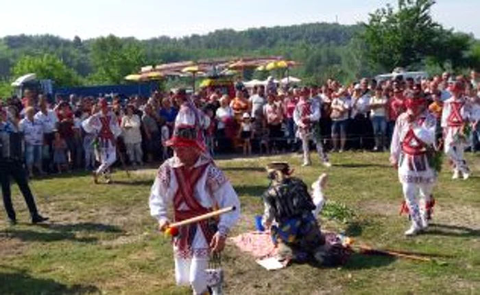 concurs căluşari dobroteasa