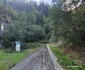 Drumul spre Lacul Gura Apelor din Retezat Foto Daniel Guță ADEVĂRUL (19) jpg