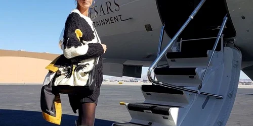 celine dion avion