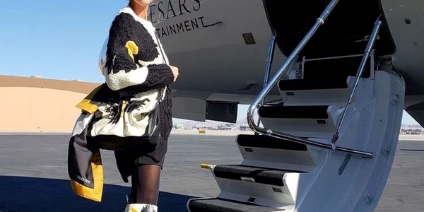 celine dion avion