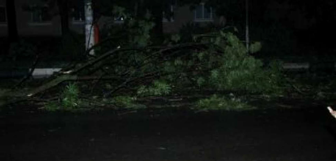 Furtuna a rupt copaci pe DN24 A. Circulaţie îngreunată