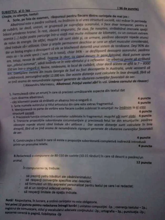 subiecte simulare capacitate bucuresti romana 2
