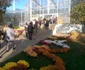 Flori de toamnă în Grădina Botanică Iaşi
