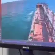 GIF Nava 