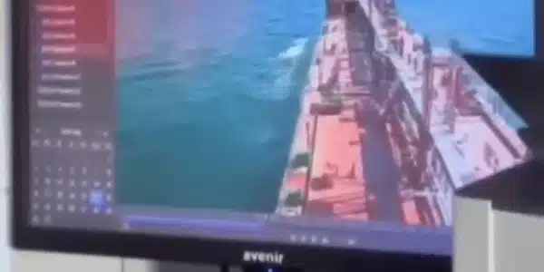 GIF Nava 