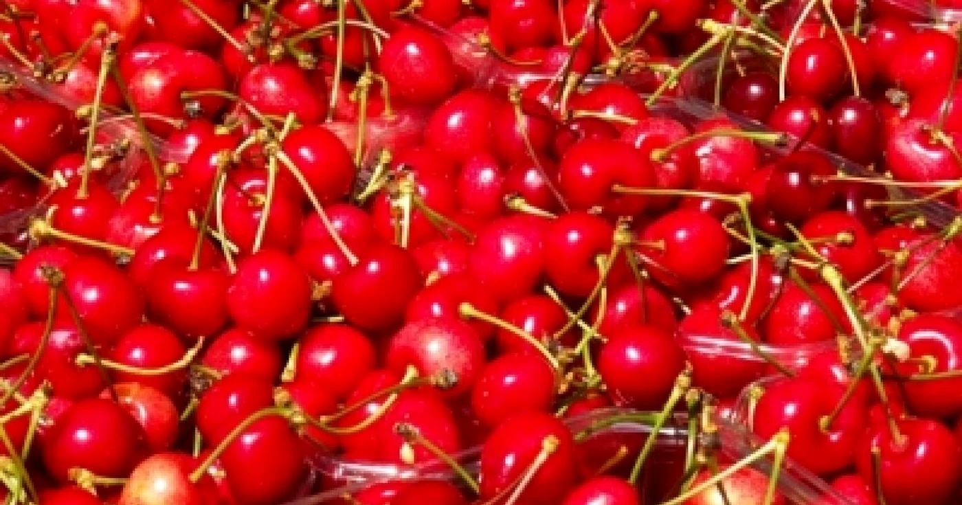 Foto simbol