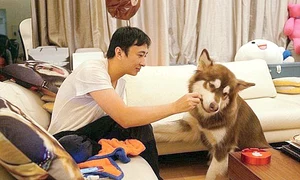 Cel mai răsfăţat câine din lume aparţine miliardarului Wang Sicong jpeg