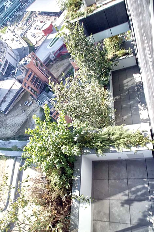 
    Foto: Guliver/splashnews  